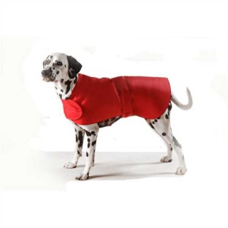 Waterproof Furlined All-Weather Dog Coat